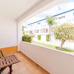 Oasis * Luz
